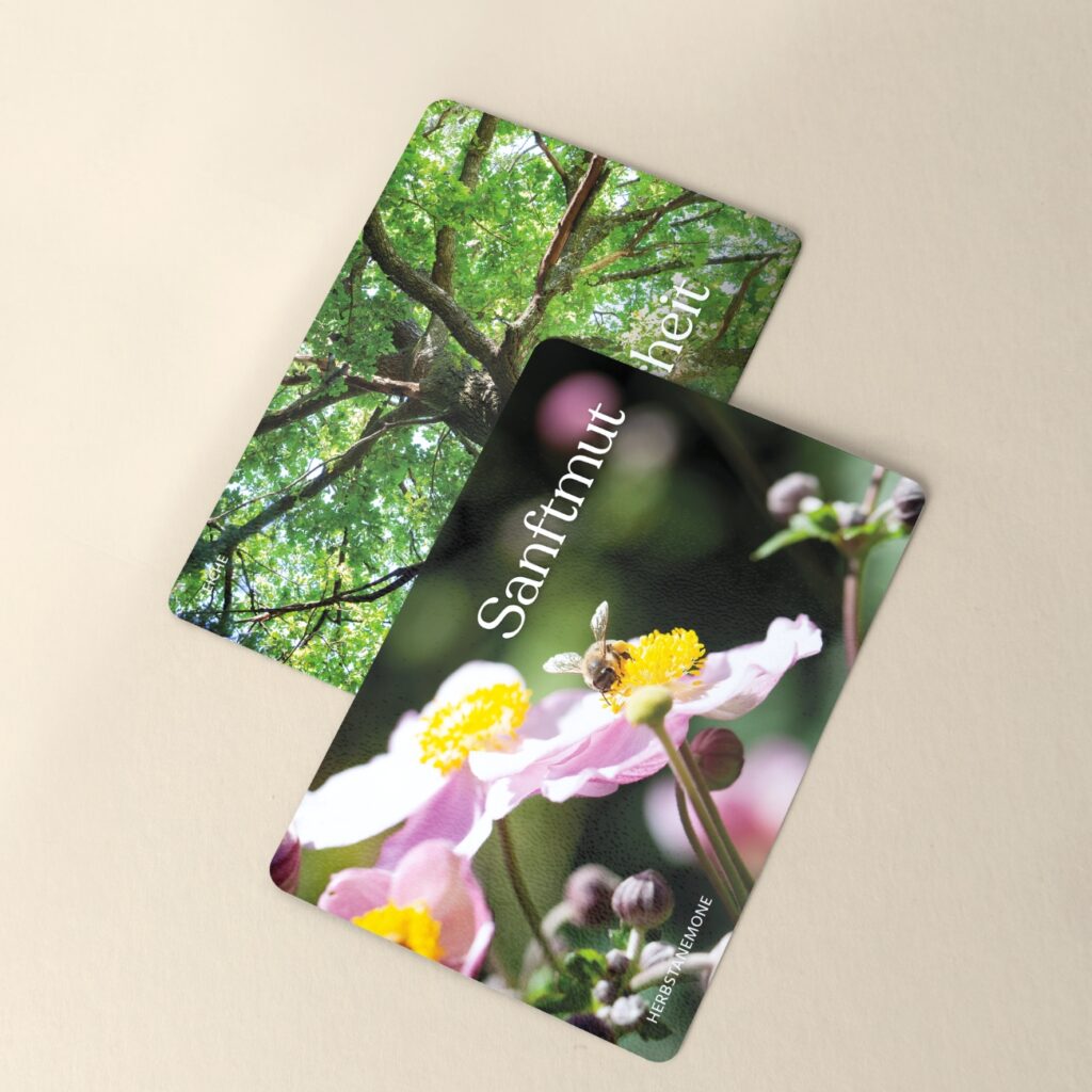 Kartenset - Heilsame Wörter, Sabine Rogg